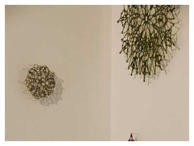 lisa solomon art - topiary doilies
