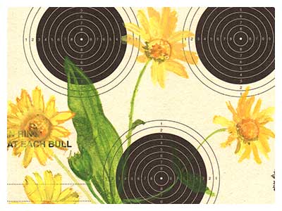 lisa solomon art - rifle target - coagulant target - arnica chamissonis