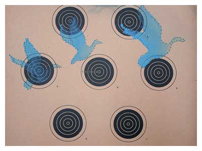 lisa solomon art - rifle target - the hunted - ducks