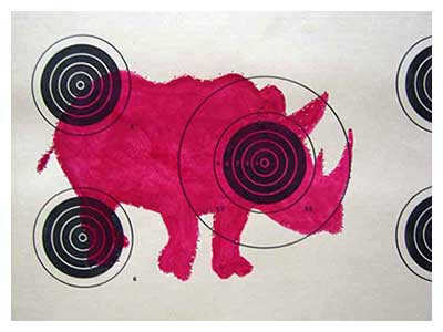 lisa solomon art - rifle target - the hunted - rhino