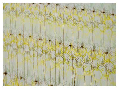 lisa solomon art - Sanjusendo crowns drawing